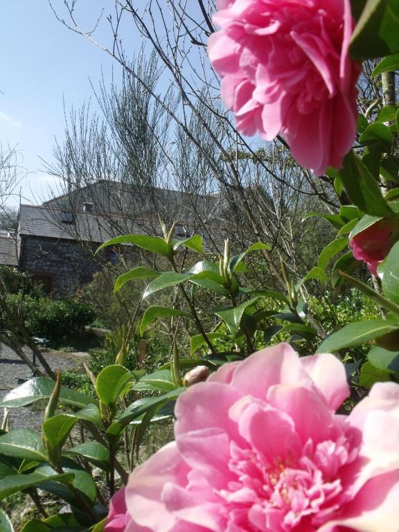 Stag Coach House Hotel Carmel ภายนอก รูปภาพ
